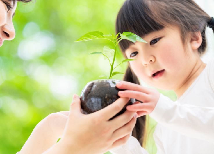 植木を気にする女の子