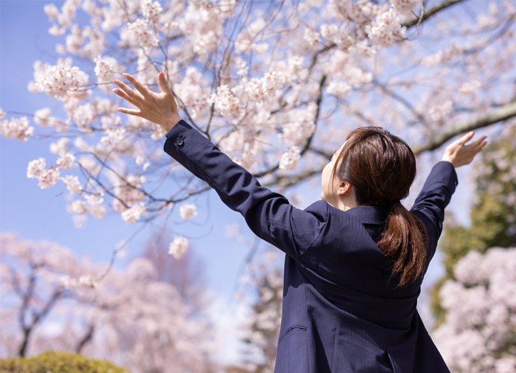 桜の木に向かって背伸びする女の子